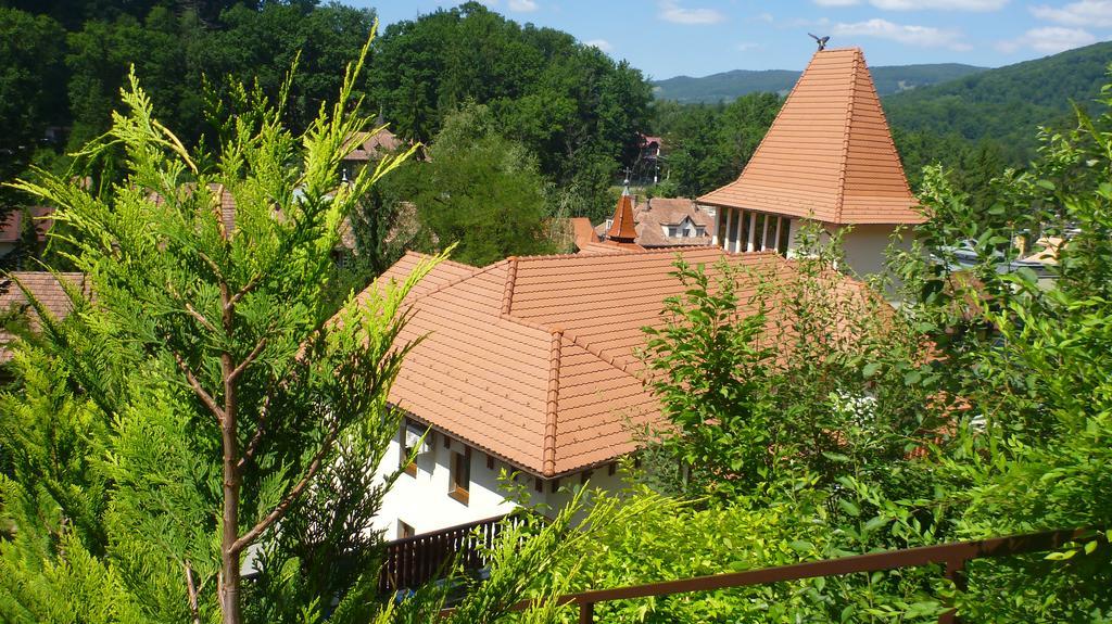 Vila Silvia Sovata Zewnętrze zdjęcie