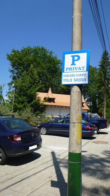 Vila Silvia Sovata Zewnętrze zdjęcie