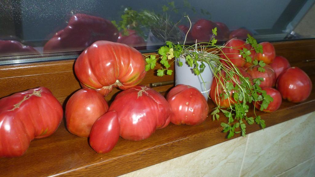 Vila Silvia Sovata Zewnętrze zdjęcie